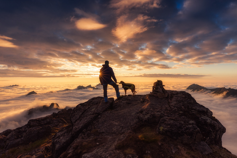 Illustration for article titled Las mejores fotos de perros del año, según un concurso que elige las mejores fotos de perros del año